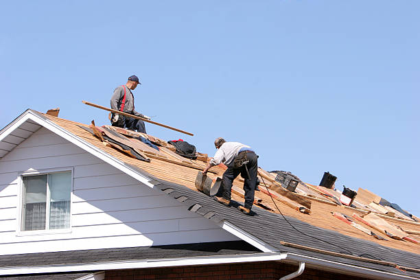 Best Solar Panel Roofing Installation  in Batesville, IN